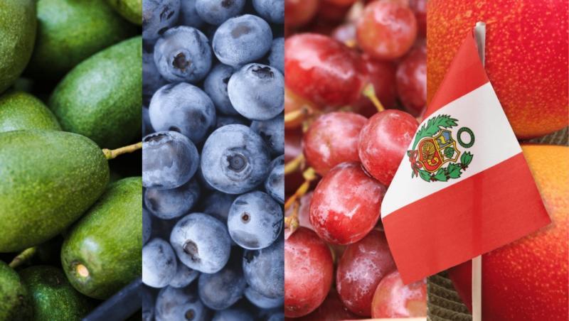 Perú exportó 2.659.165 toneladas de frutas por US$ 6.520 millones entre enero y noviembre