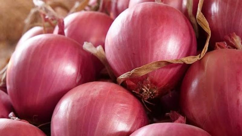 Perú exportó 30.006 toneladas de cebolla fresca por US$ 13.98 millones en enero de 2025