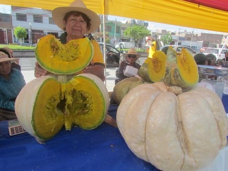 Perú exportó 4.600 toneladas de zapallo en los primeros diez meses del año