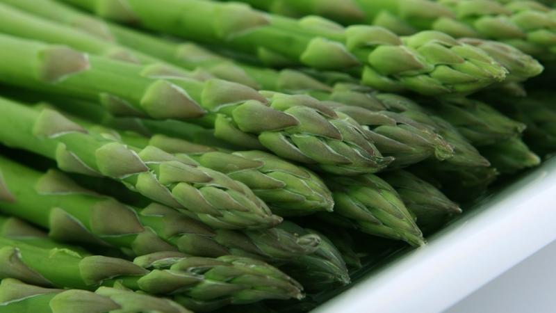 Perú exportó 48.824 toneladas de espárragos por US$ 173 millones en la primera mitad de   2025