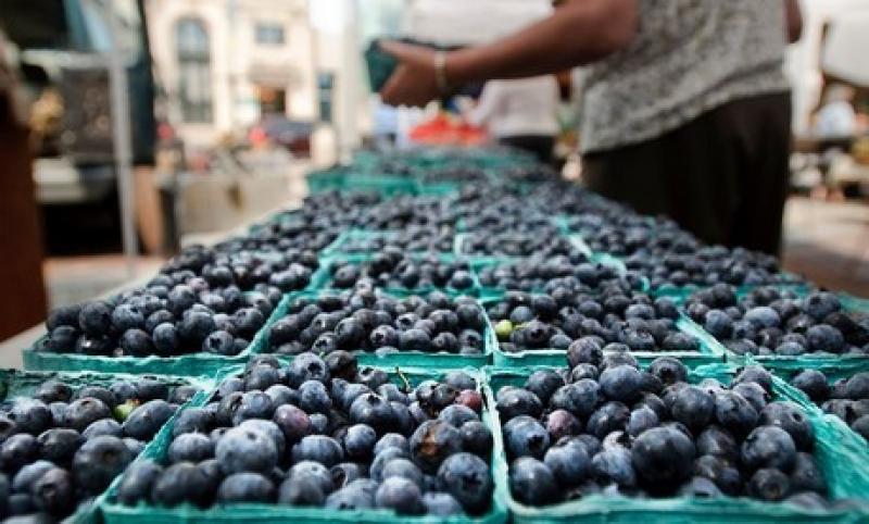 Perú exportó alrededor de 118 mil toneladas de arándanos frescos en la campaña 2019/2020