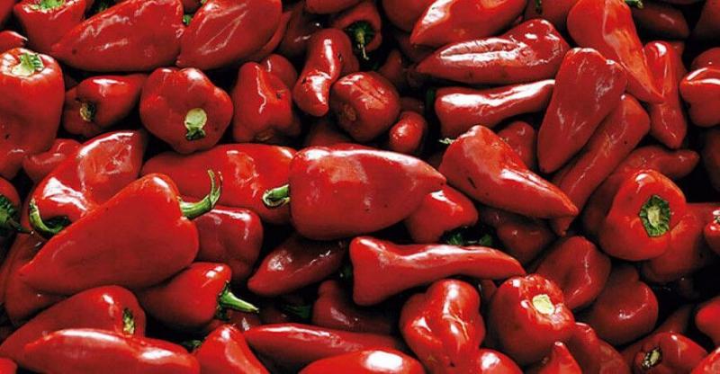 Perú exportó pimiento piquillo a 10 países en febrero de 2025