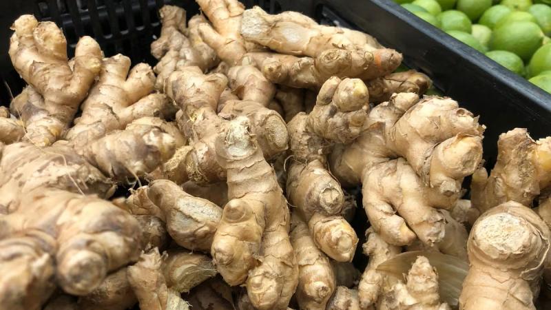 Perú fue el tercer exportador mundial de jengibre en 2024 con envíos por US$ 118.3 millones