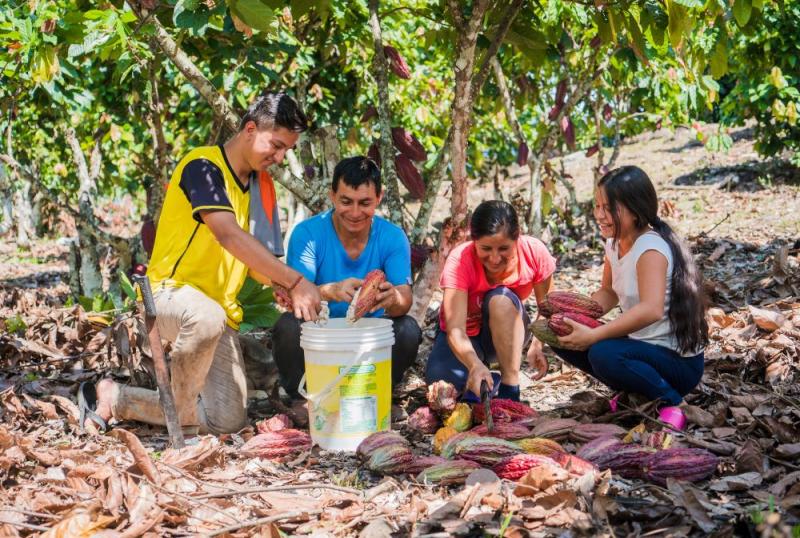 PERU-Hub: el proyecto de investigación e innovación que busca garantizar la transferencia tecnológica en la amazonía peruana