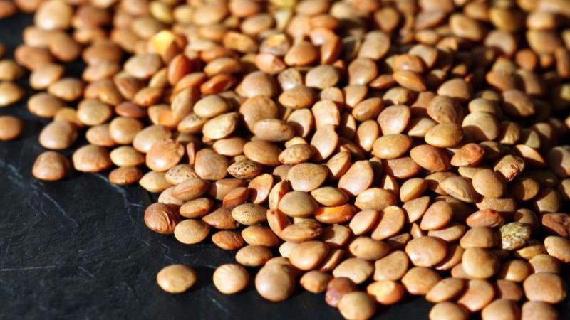 Perú importó lentejas por US$ 19.7 millones en el primer trimestre de 2025