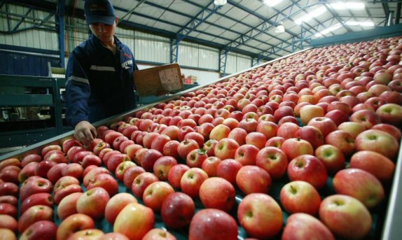 Perú importó manzanas por US$ 9 millones en el primer trimestre del año