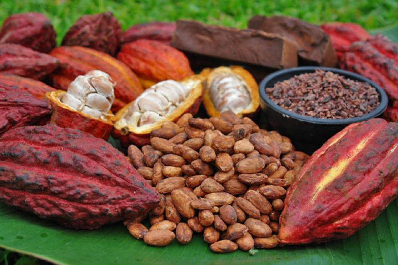 Perú lanzará marcas sectoriales de café y cacao este año