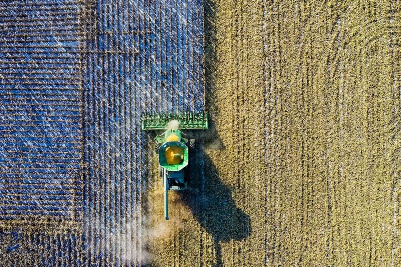 Perú lidera el desarrollo de agtech con Colombia y Ecuador en la región andina, según el BID