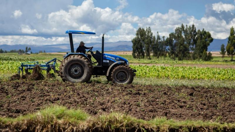 Perú: Producción agropecuaria creció 4.8% en el 2025