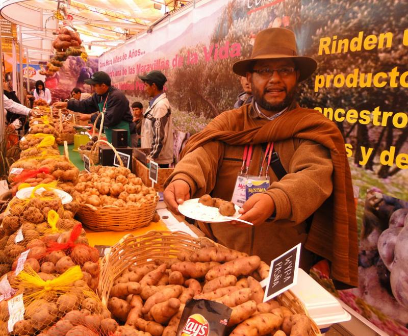 PERÚ PRODUCIRÍA 4.5 MILLONES DE TONELADAS DE PAPA ESTE AÑO