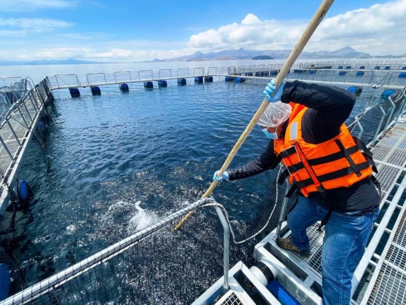 Perú será el quinto mayor productor acuícola de la región en el 2030