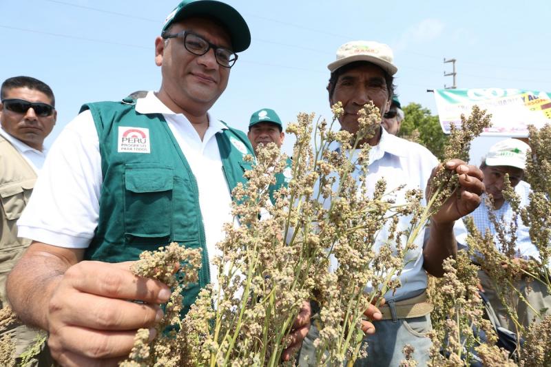 PERÚ SERÁ SEDE DEL CONGRESO INTERNACIONAL DE LA QUINUA EN 2016