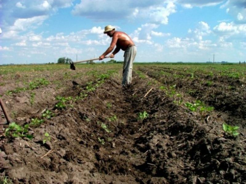 PIDEN POLÍTICAS DIFERENCIADAS PARA IMPULSAR PRODUCCIÓN DE AGRICULTORES