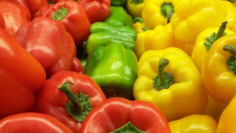 Pimiento morrón de Perú llegó a 17 países en 2024