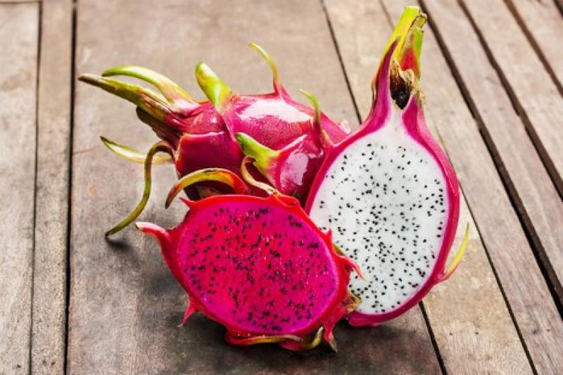 Pitahaya peruana, una delicia espinosa lista para la expansión de exportaciones en 2024