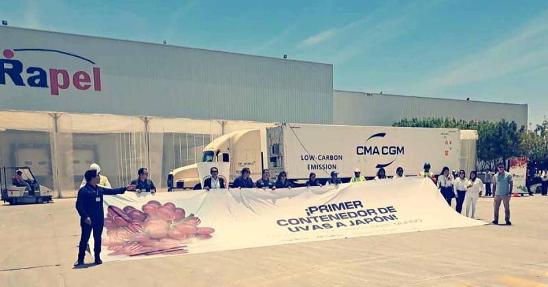 Piura celebra la exportación pionera de uvas de dicha región al mercado de Japón por parte de la empresa Verfrut