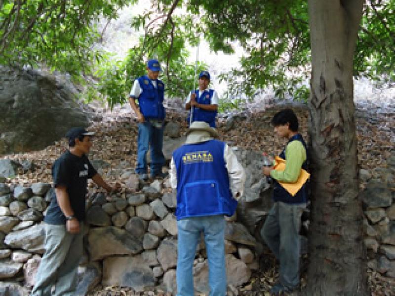 PIURA: COORDINAN ERRADICACIÓN DE LA MOSCA DE LA FRUTA