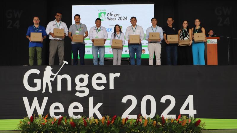 Plantean trabajo conjunto para que jengibre y cúrcuma mantengan su liderazgo