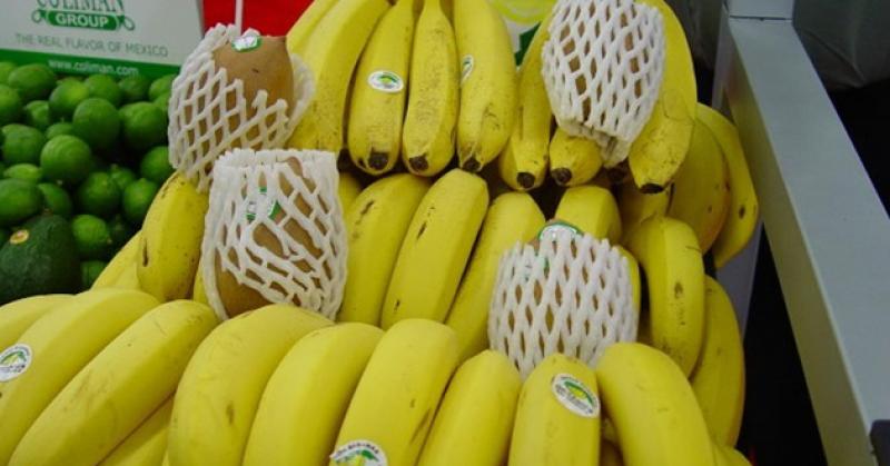 PLÁTANO ES LA FRUTA FRESCA EXTRACOMUNITARIA MÁS IMPORTADA POR LA UNIÓN EUROPEA