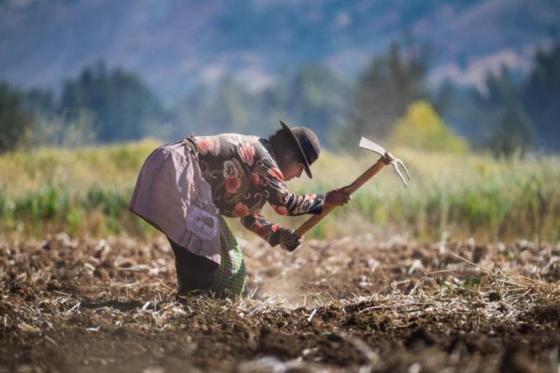 Política General de Gobierno 2021-2026 sienta las bases de la denominada Segunda Reforma Agraria inclusiva