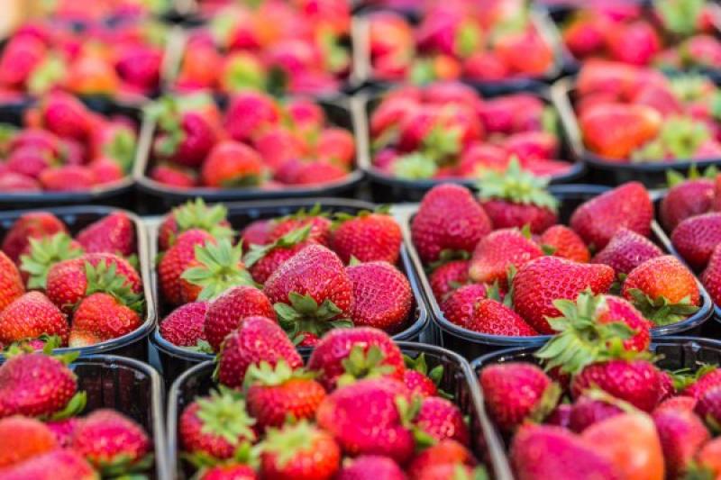 Polonia es el décimo tercer mayor productor de fresas del mundo