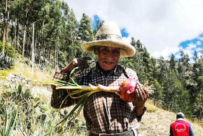 Porcentaje de productores agropecuarios con más de 60 años sigue aumentando