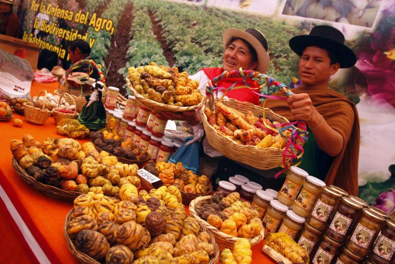 PORTAL WEB DE PEQUEÑOS AGRICULTORES PERUANOS RECIBIÓ RECONOCIMIENTO