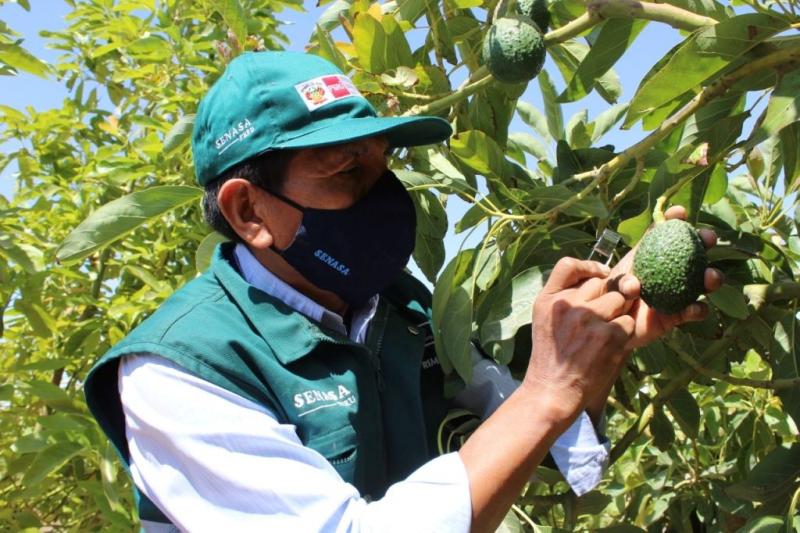 Posible cambio en jefatura del Senasa pone en alerta a productores, exportadores y empresarios del sector agroalimentario