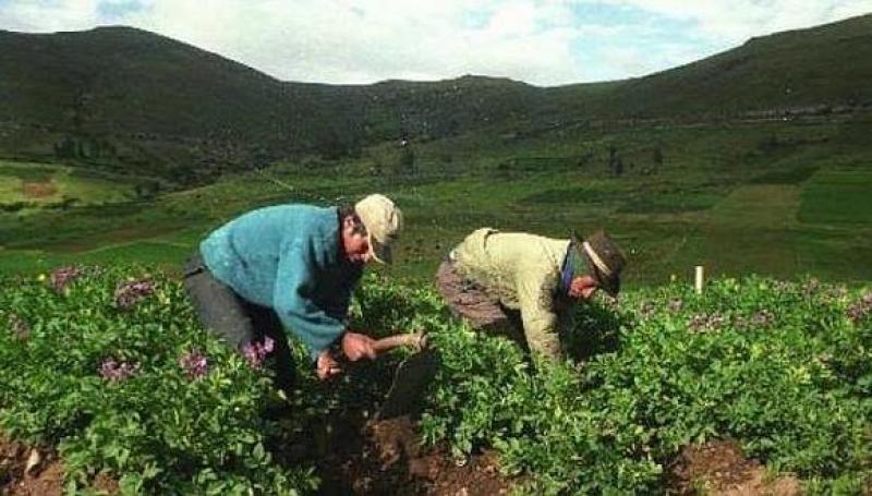 Potenciar la agricultura familiar