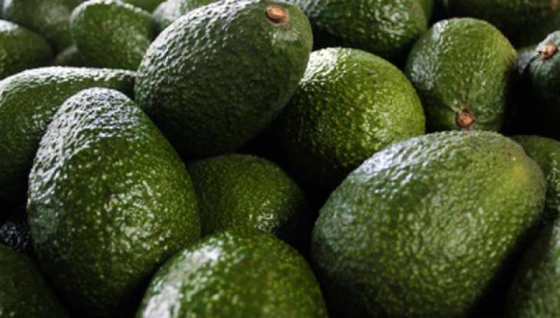 Precio del aguacate en Estados Unidos se dispara al nivel más alto después de 24 años