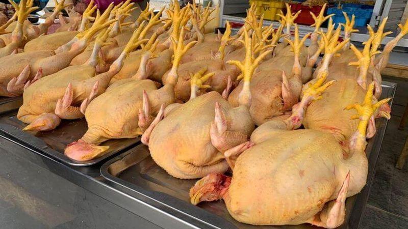 Precio del pollo se irá regularizando en los próximos días