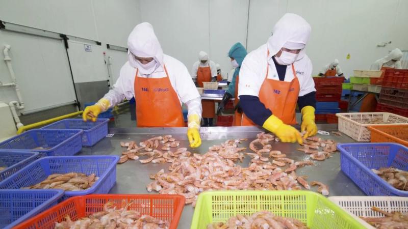 Prepublican reglamento de sanciones para garantizar inocuidad de productos hidrobiológicos