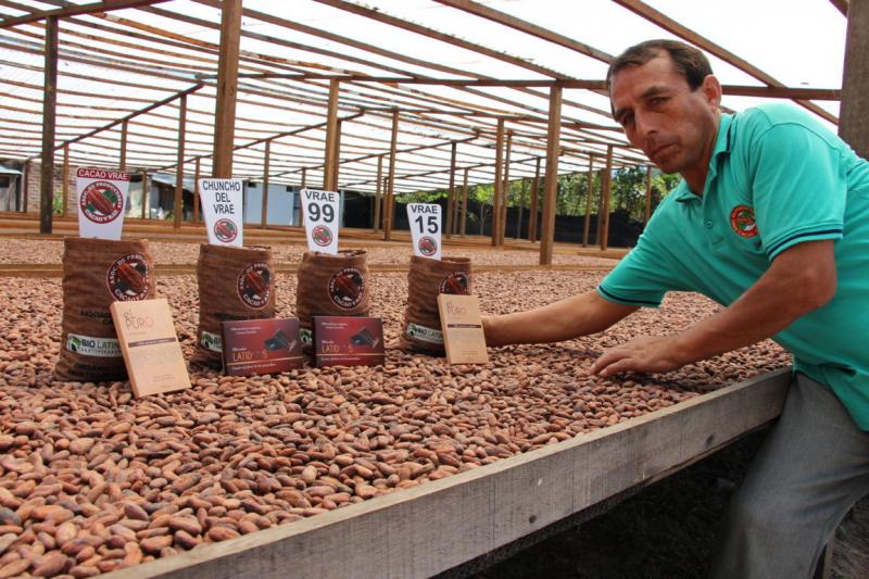 Presentan agenda cafetalera 2020 y plan estratégico del cacao y chocolate en el VRAEM