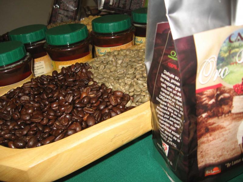 PRESENTAN BASES DEL CONCURSO GRANO DE ORO EXPO CAFÉ 2015