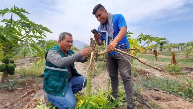 Presentan innovación en el Registro Nacional de Proveedores de Extensión Agropecuaria