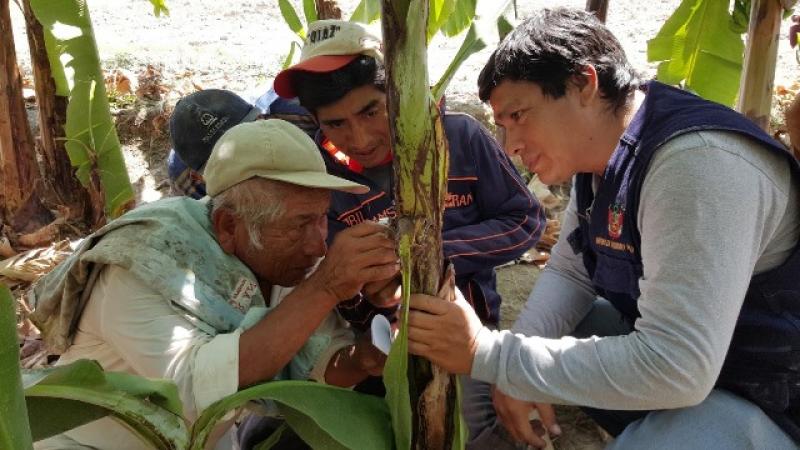 PRESENTAN MEDIDAS PARA SECTOR AGRÍCOLA ANTE FENÓMENO EL NIÑO