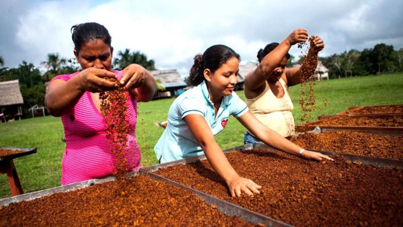 Presentan plan de desarrollo para acelerar la innovación y competitividad de Madre de Dios