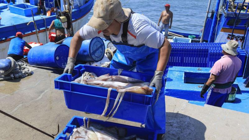 Presentan proyecto de nuevo Reglamento de Ordenamiento Pesquero