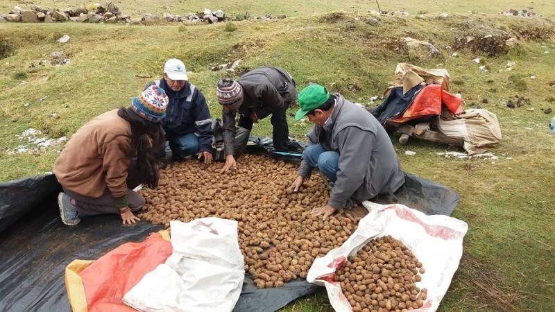 Preservar la biodiversidad y fortalecer la agricultura familiar son actividades complementarias y claves para el país 