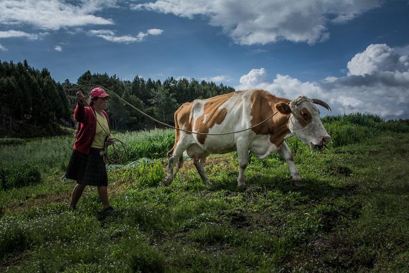 Presupuesto para la igualdad: el reto de la nueva ministra de Desarrollo Agrario y Riego