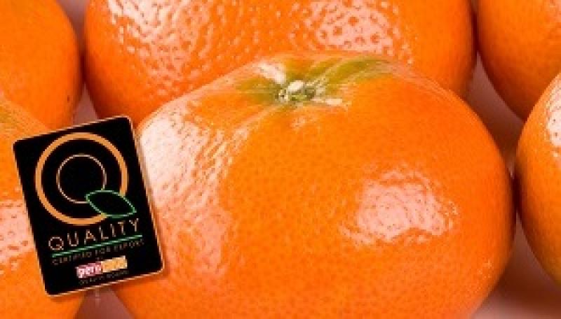 ProCitrus no implementaría  sello de calidad en esta campaña