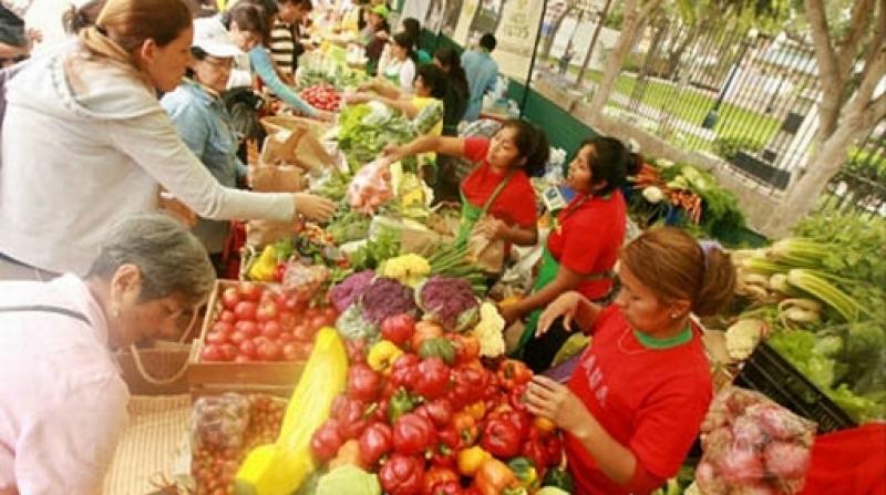 PRODUCCIÓN DE ALIMENTOS ORGÁNICOS EN PERÚ CRECERÁ UN 15%