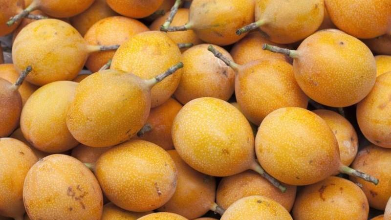 Producción de granadilla alcanzó las 50.853 toneladas en 2024