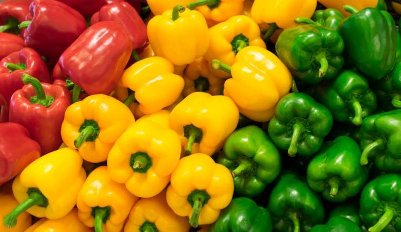 Producción mundial de pimiento bate récord histórico con 36.972,49 millones de kilos en 2022