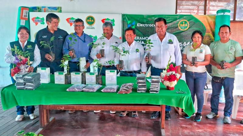 Producirán un millón de plantones forestales en Junín con fines comerciales en sistemas agroforestales