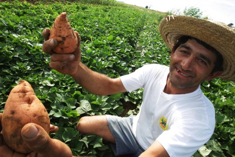 PRODUCTIVIDAD Y ECONOMÍA AGRÍCOLA, DÉBILES FRENTE AL CAMBIO CLIMÁTICO 