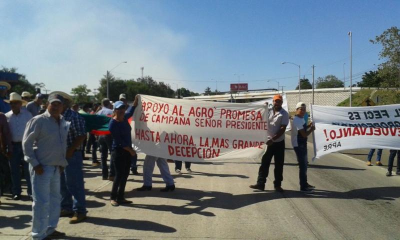 Productores arroceros del país protestaron exigiendo normalización de sistema de franja de precios