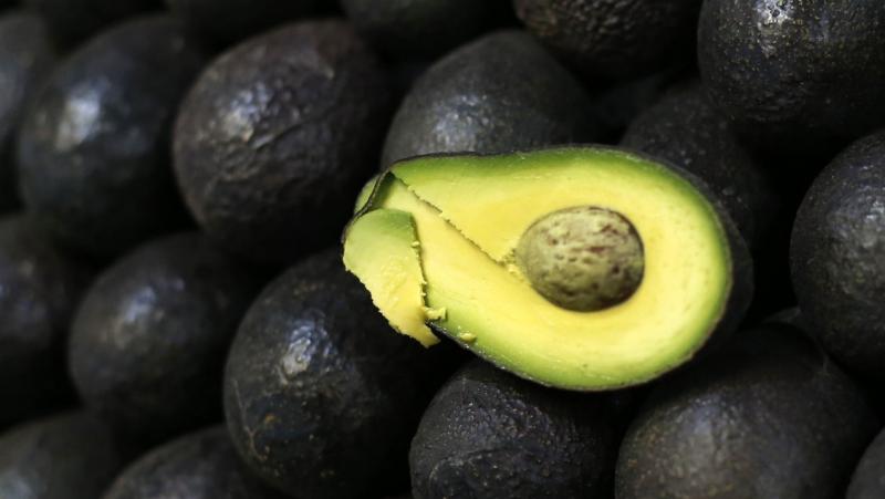 Productores chilenos de palta viajaron a Europa para enfrentar acusaciones sobre sequía en provincia de Petorca