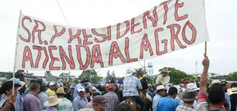 Productores de arroz iniciarán huelga nacional indefinida desde el 26 de julio