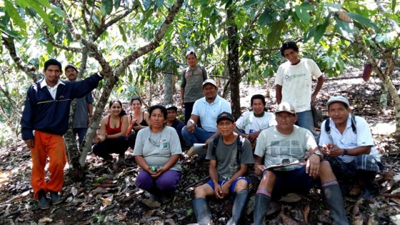 PRODUCTORES DE OXAPAMPA CERIFICARÁN 20 PARCELAS DE CACAO